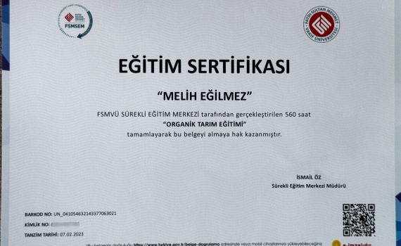 a13aeca1-15ad-4ffc-a82b-10e66a92c09c